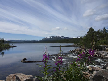 Scenic view of lake with mountains in background