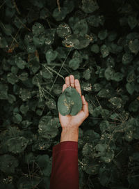 Midsection of person holding clock against plants