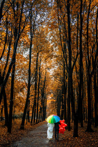 Rear view of people with umbrella walking in forest during autumn