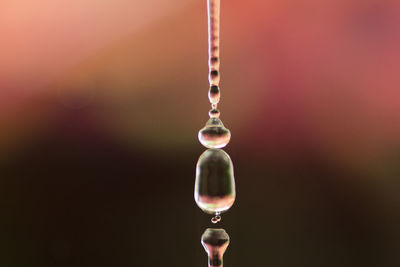 Close-up of water drop hanging on glass