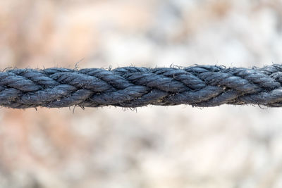 Close-up of rope