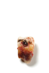 Close-up of ice cream over white background