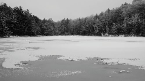 Scenic view of snow covered landscape