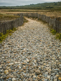 High angle view of stones on field