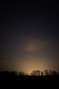 Silhouette trees on field against sky at night