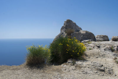 Scenic view of sea against clear sky