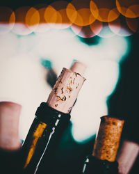 Close-up of hand holding wine bottles