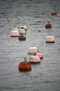 Red and white mooring buoy