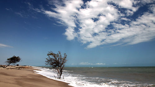 Scenic view of beach against sky