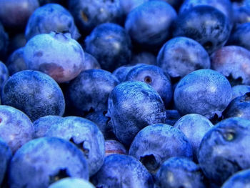 Full frame shot of blueberries