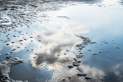 High angle view of people on wet shore