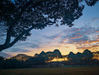 Silhouette trees on landscape against sky during sunset