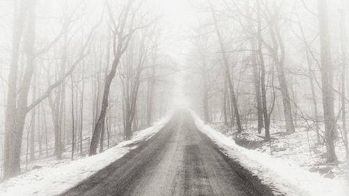 Road amidst bare trees in forest during winter