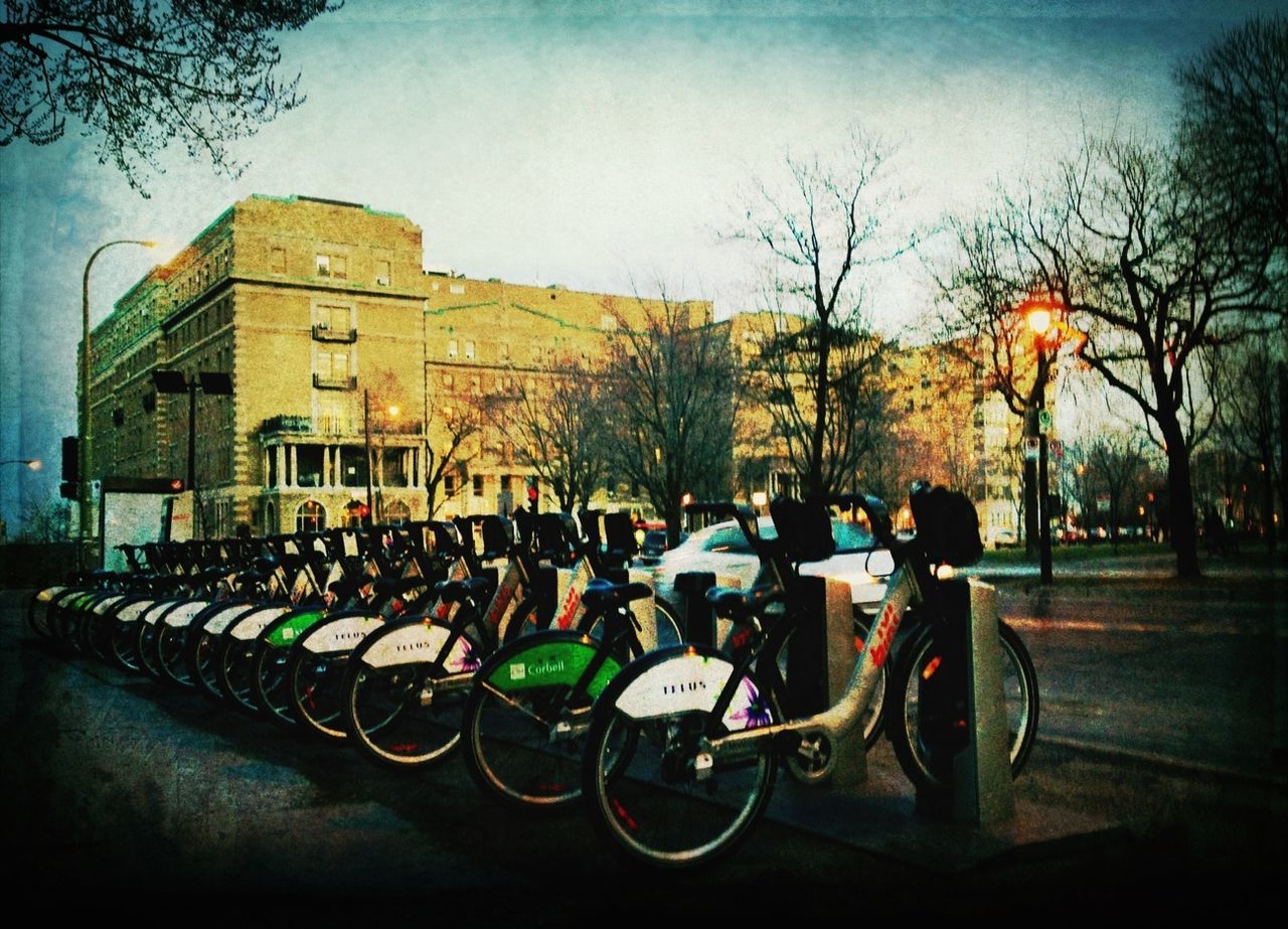 land vehicle, transportation, mode of transport, tree, parked, bicycle, parking, stationary, building exterior, car, built structure, sky, architecture, bare tree, street, motorcycle, city, outdoors, in a row, travel