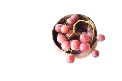 High angle view of berries in bowl against white background