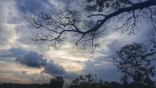 Low angle view of silhouette trees against sky during sunset