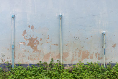 Pipes on blue weathered wall by plants