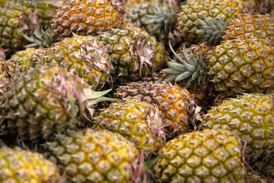 Full frame shot of fruits at market