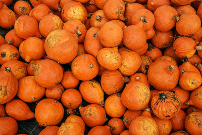 Full frame shot of pumpkins for sale at market stall