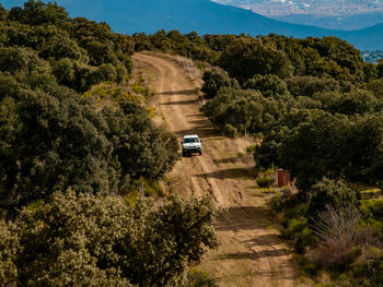 Dirt road amidst trees against sky