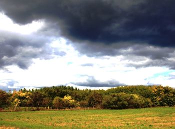 Scenic view of trees on field against sky