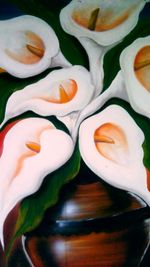 Close-up of white roses