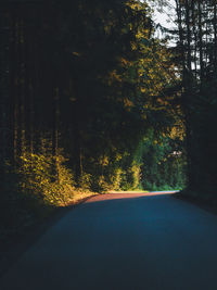 Road amidst trees in forest during autumn