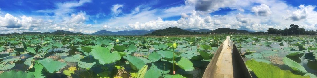 Panoramic view of lake against sky