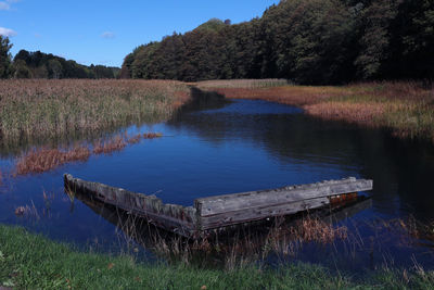 Scenic view of lake by trees against sky