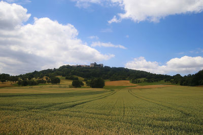 Scenic view of agricultural field against sky