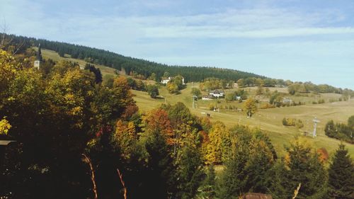 Panoramic shot of trees on field against sky