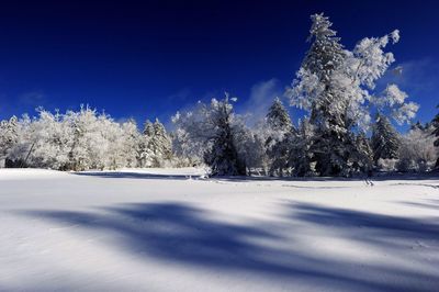 Scenic view of snow covered landscape