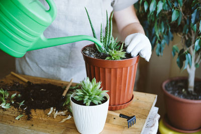 Midsection of woman holding potted plant on table