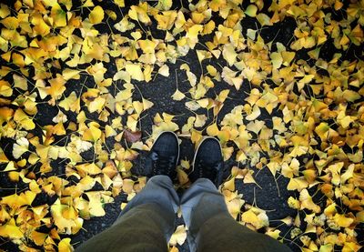 Low section of person standing in autumn leaves