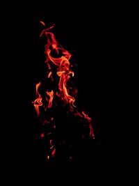 Close-up of fire against black background