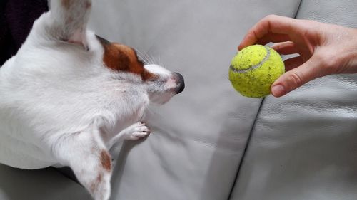 Midsection of person holding ball