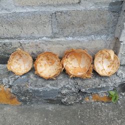 High angle view of bread on wall