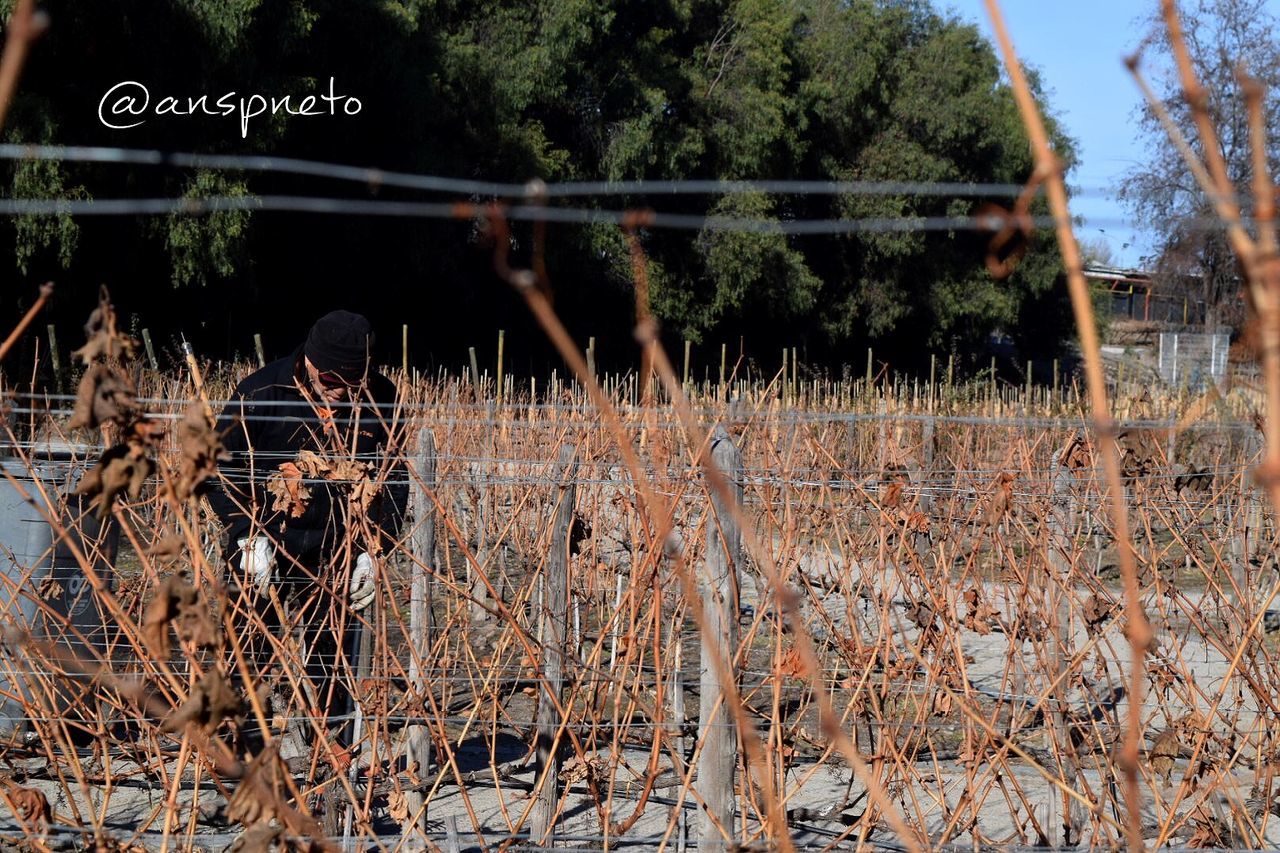 plant, text, water, growth, field, outdoors, fence, western script, day, nature, tree, no people, rural scene, communication, grass, agriculture, tranquility, dry, built structure, sky