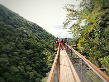 People on footbridge amidst trees against sky