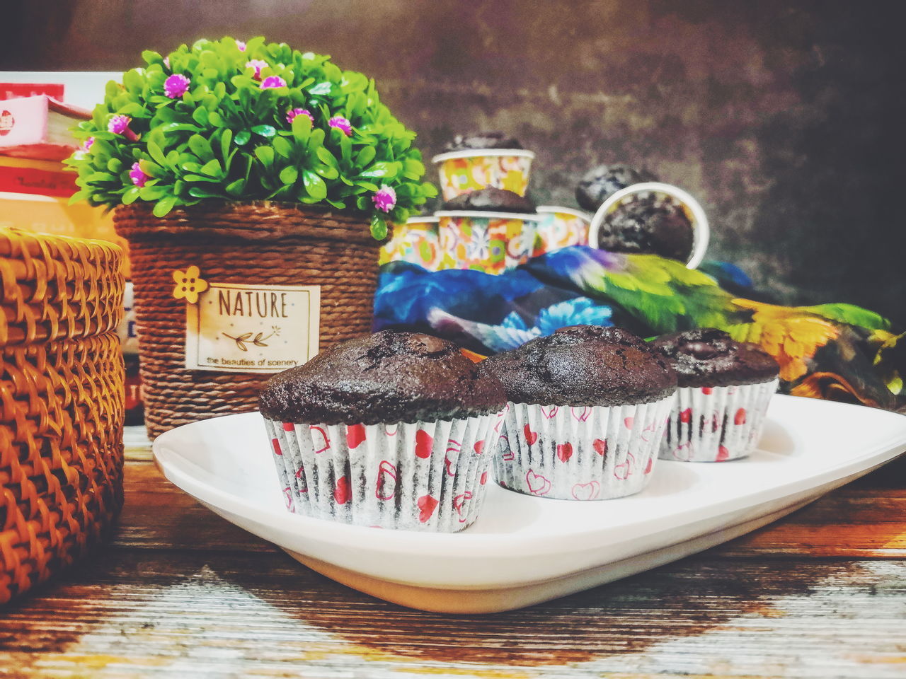 CLOSE-UP OF POTTED PLANT ON TABLE AGAINST WALL