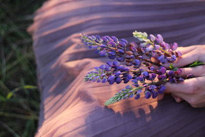 Cropped image of hand holding purple flowering plant