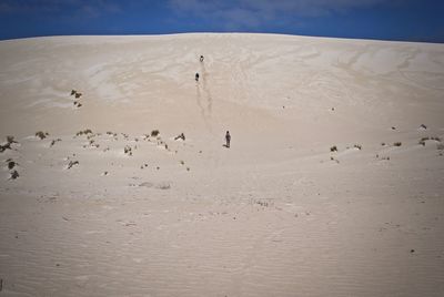 Frasier island sand dunes
