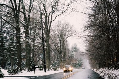 Car on road amidst trees during winter