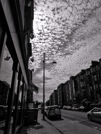 Cars on street in city against sky