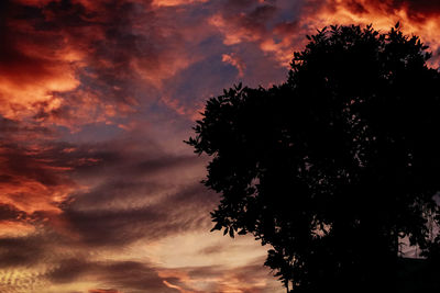 Low angle view of silhouette tree against dramatic sky