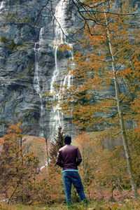 Rear view of man standing in forest during autumn