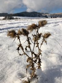 Close-up of snow on lake against sky