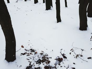 Low section of person on snow field during winter