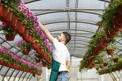 Young man smiling while standing by flower plants in green house