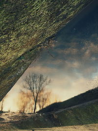 Scenic view of landscape